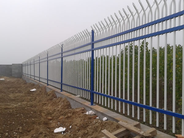 xinganghulanf xinganghulanf